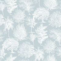 Into The Woods, Sky Blue