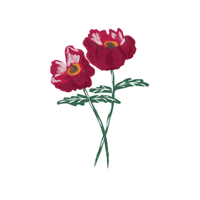 Botanical