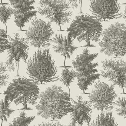 Into the Woods, Vintage Black