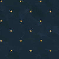 Baby Its Cosmic, Night Sky