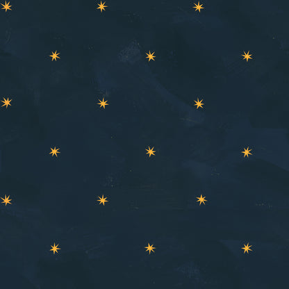 Baby Its Cosmic, Night Sky