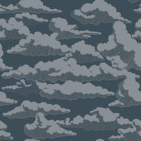 Cumulus, Storm Blue