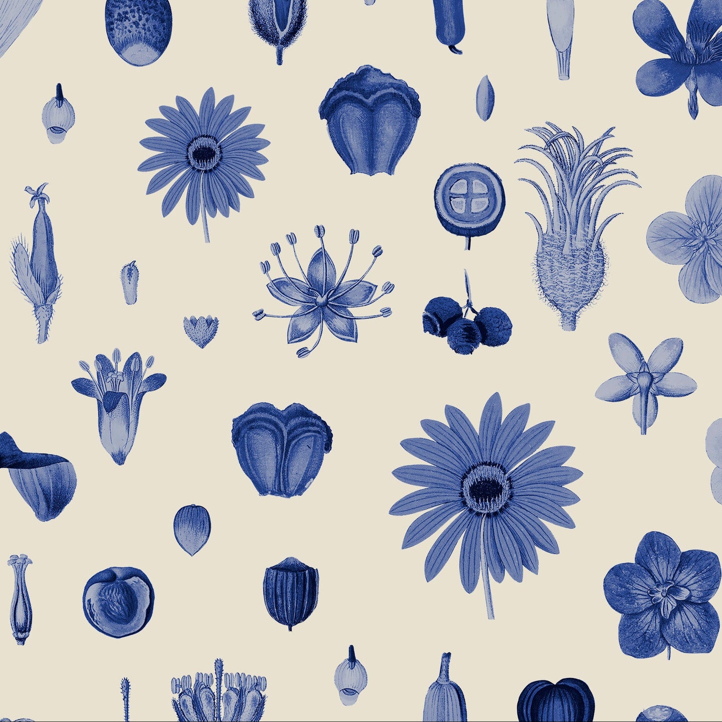 Pattern of blue floral and botanical illustrations on a beige background