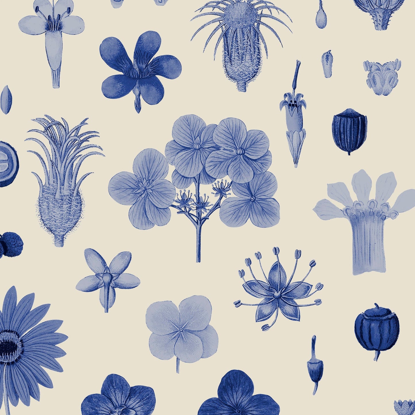 Pattern of blue floral and botanical illustrations on a beige background
