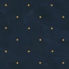Baby Its Cosmic, Night Sky