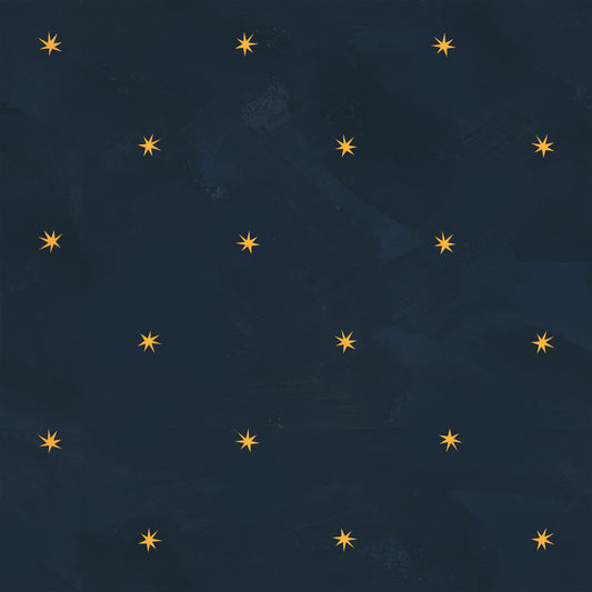 Baby Its Cosmic, Night Sky